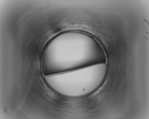 X0000098211505200804241049