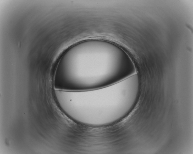 X0000098211506200804241049