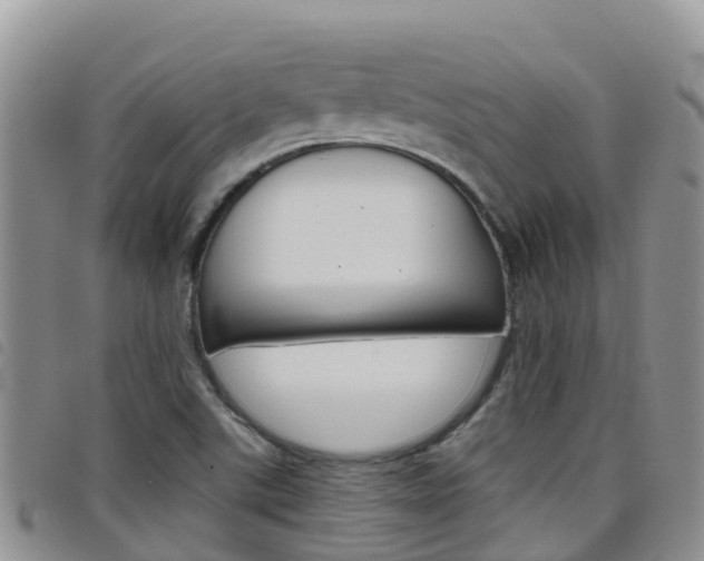 X0000098211507200804241049