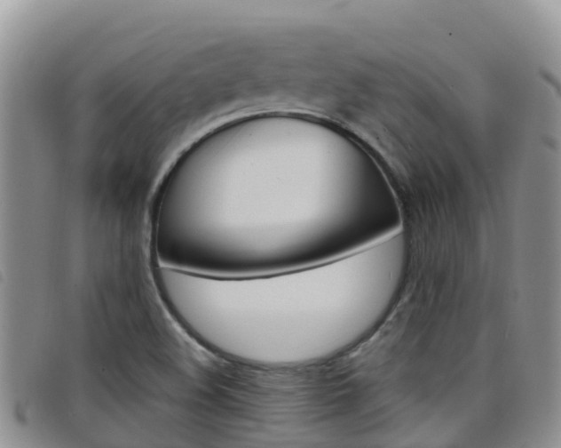 X0000098211508200804241049