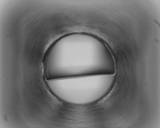 X0000098211509200804241049
