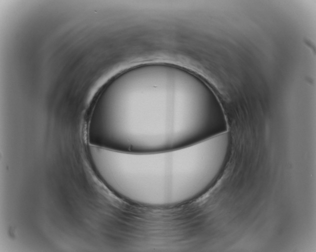X0000098211510200804241049