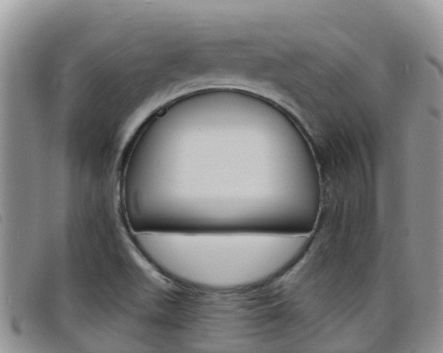 X0000098211511200804241050