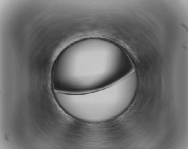 X0000098211512200804241050