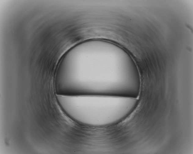 X0000098211513200804241050