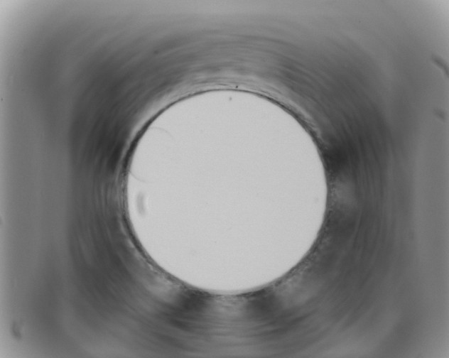 X0000098211514200804241050