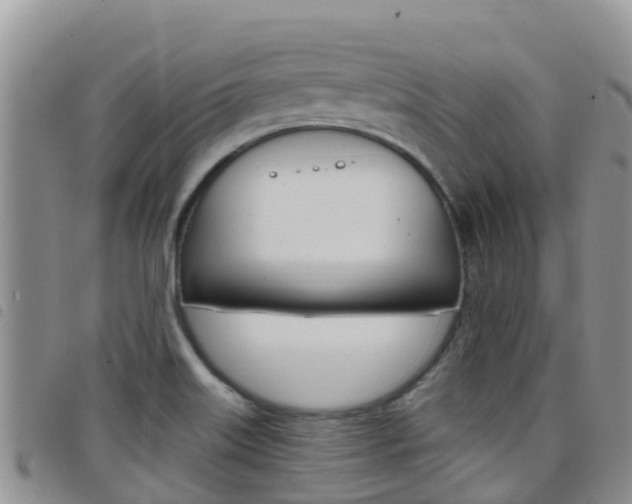 X0000098211515200804241050