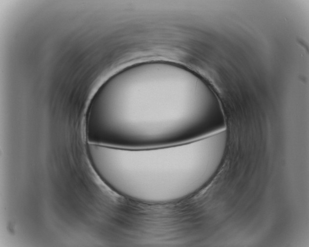 X0000098211516200804241050