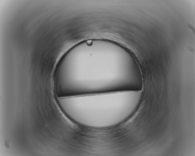X0000098211517200804241050