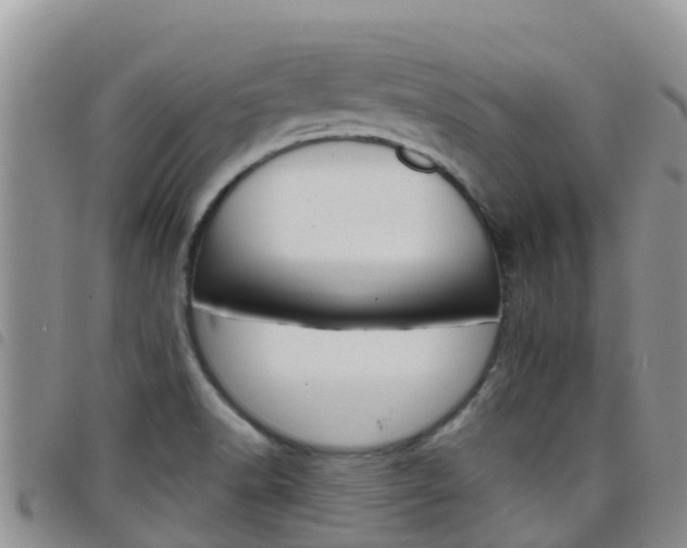 X0000098211518200804241050