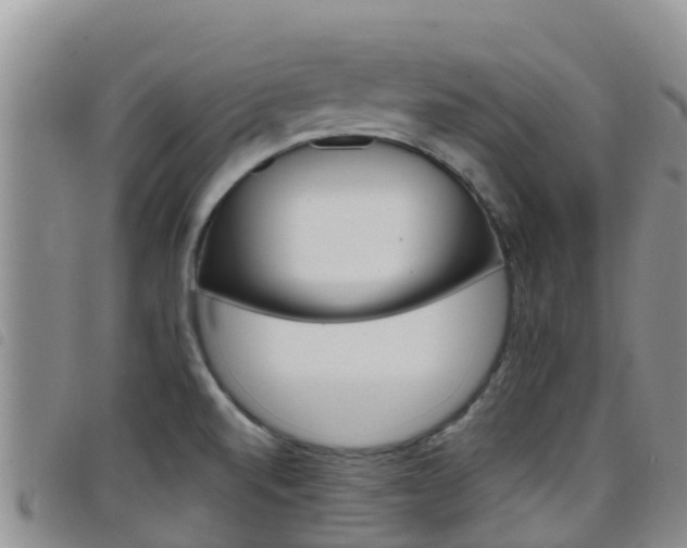 X0000098211520200804241050