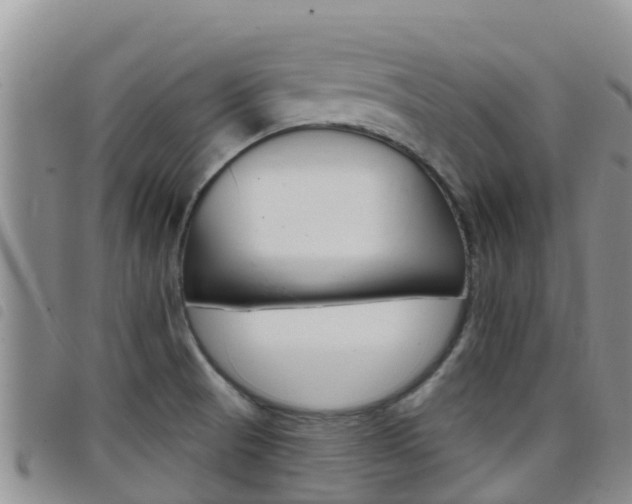 X0000098211521200804241050