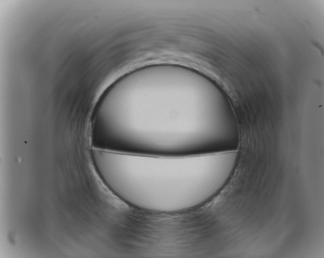 X0000098211522200804241050