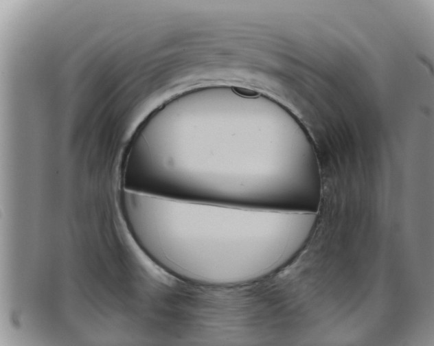 X0000098211523200804241050
