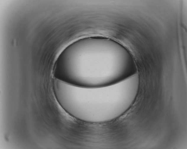 X0000098211524200804241050