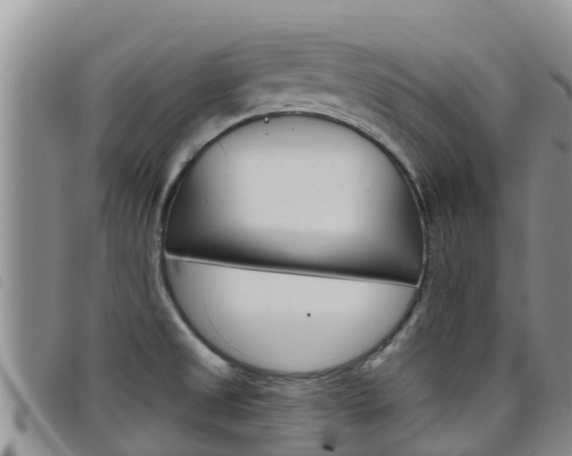 X0000098211525200804241050