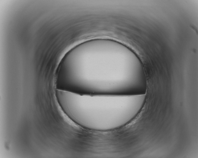 X0000098211526200804241050