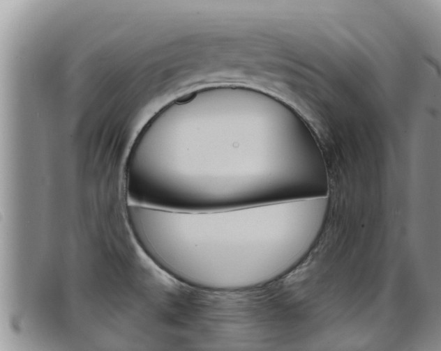 X0000098211527200804241050