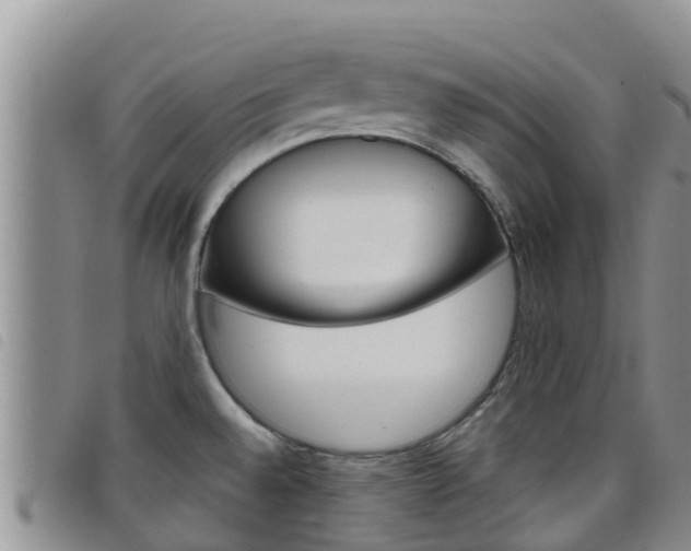 X0000098211528200804241050