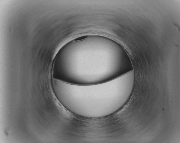X0000098211530200804241050