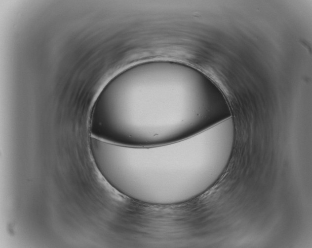 X0000098211532200804241050