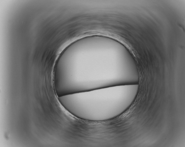 X0000098211535200804241050