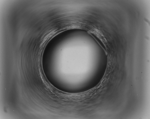 X0000098210001200804241332