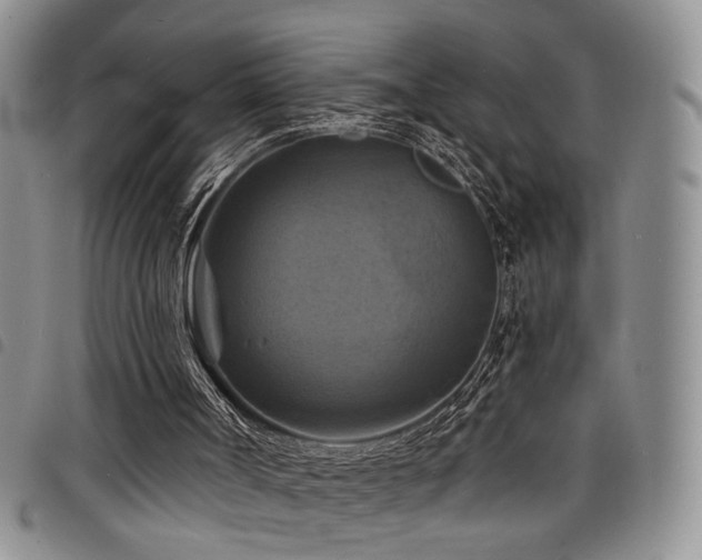 X0000098210002200804241332