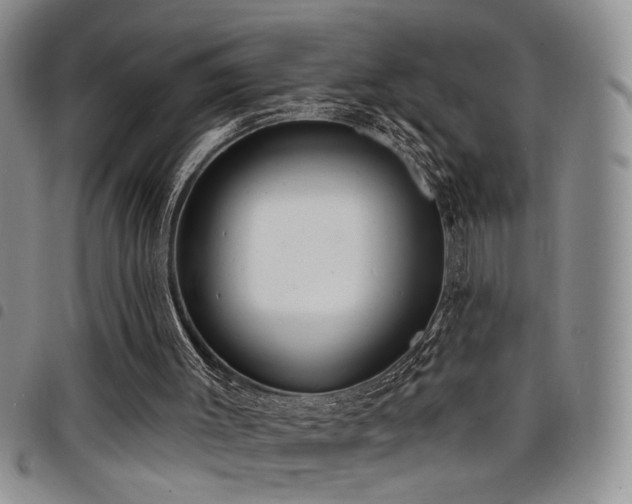X0000098210003200804241332