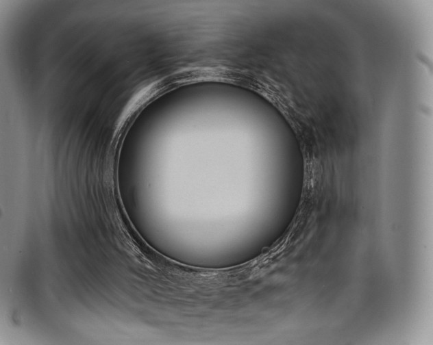 X0000098210004200804241332