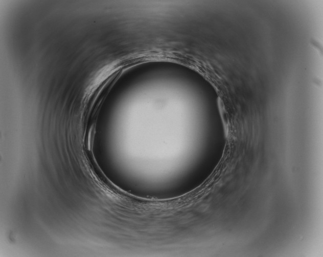 X0000098210005200804241332