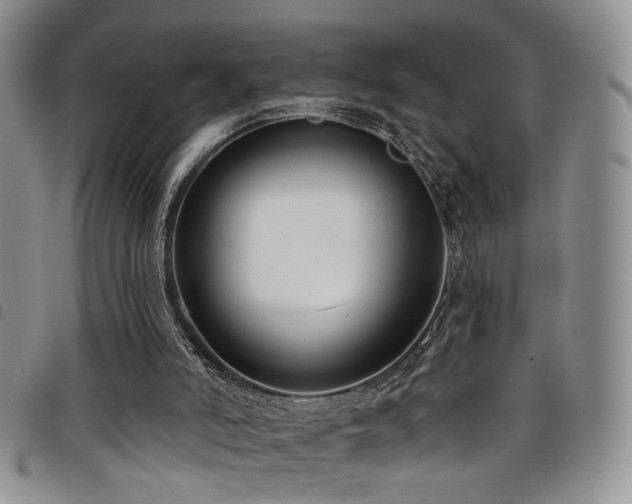 X0000098210006200804241332