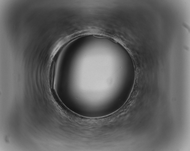 X0000098210007200804241332