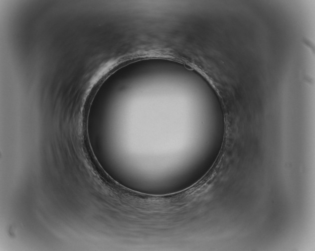 X0000098210008200804241332