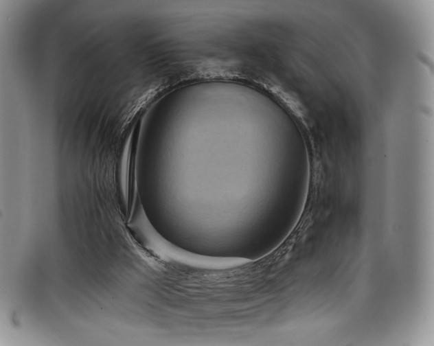 X0000098210009200804241332
