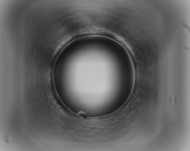 X0000098210010200804241331