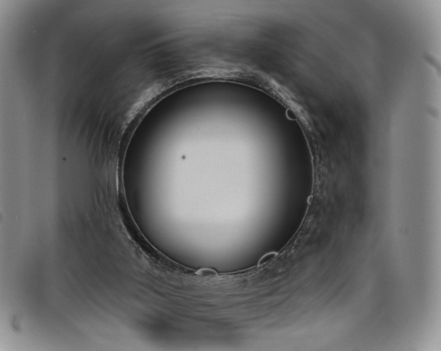 X0000098210011200804241331
