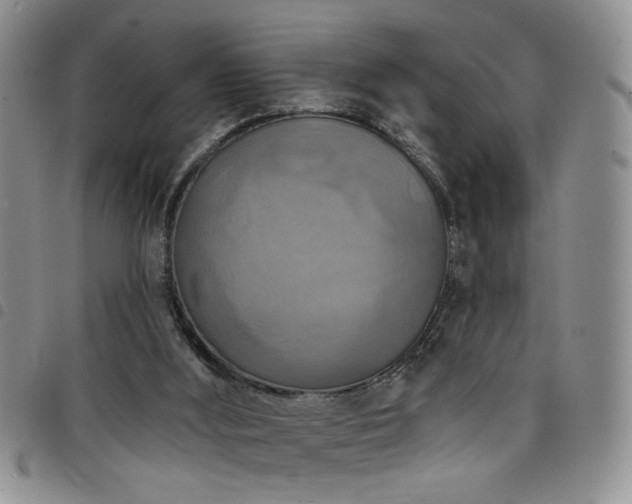 X0000098210012200804241331
