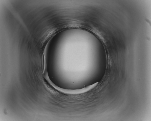 X0000098210013200804241331