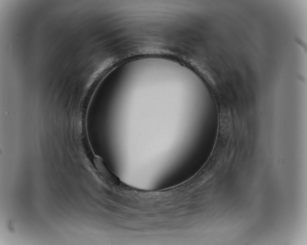 X0000098210015200804241331