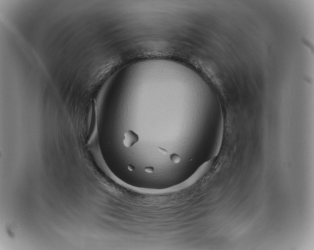 X0000098210017200804241331