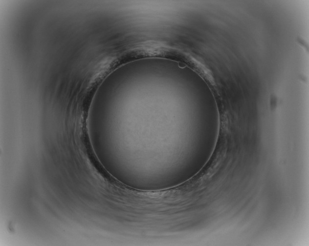 X0000098210018200804241331