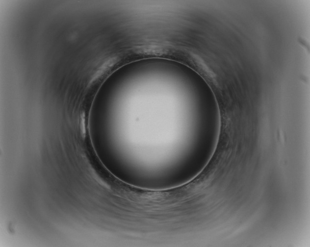 X0000098210020200804241331