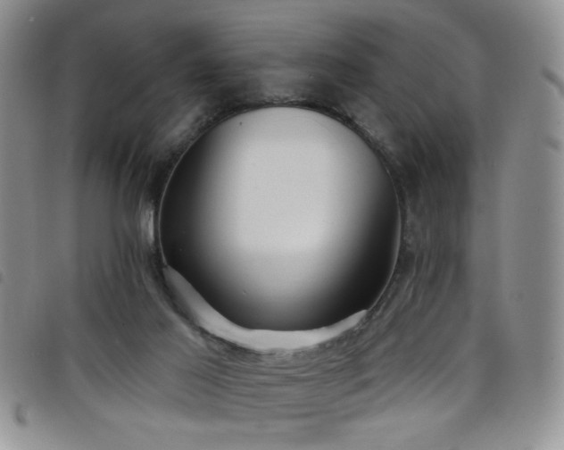 X0000098210021200804241331