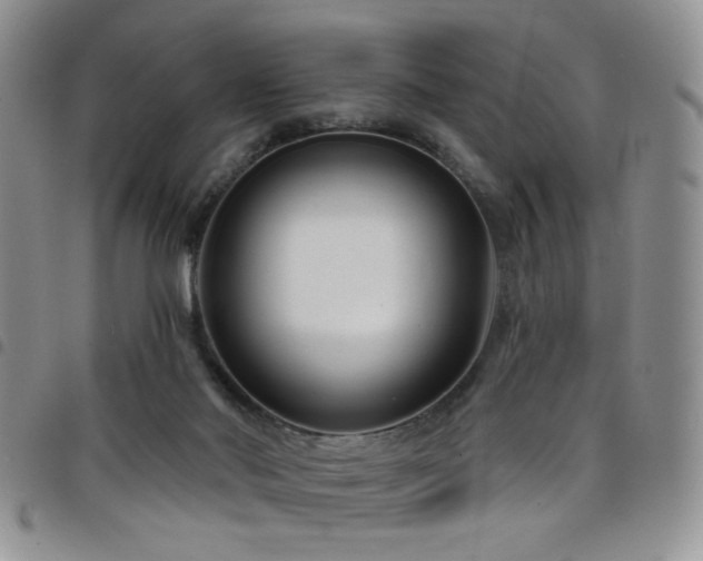 X0000098210022200804241331