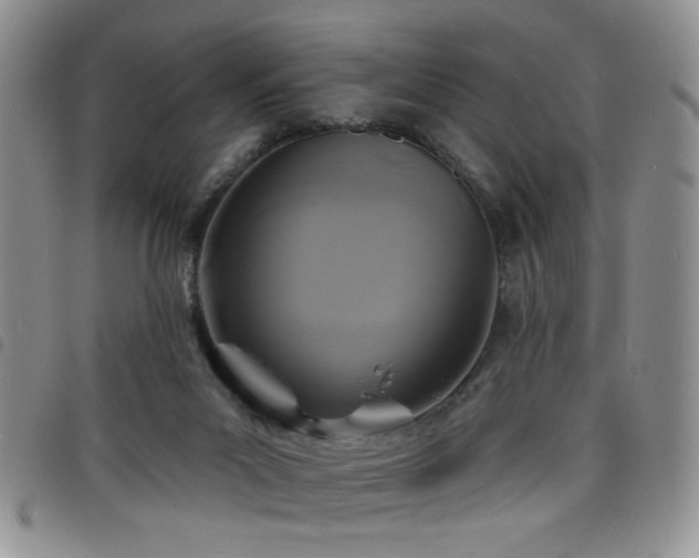 X0000098210023200804241331