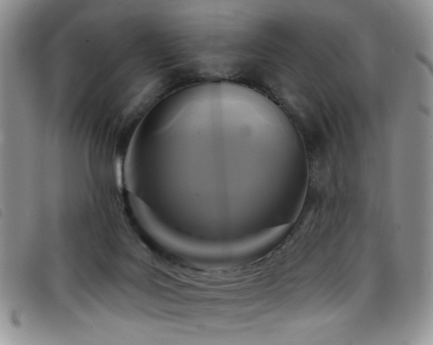 X0000098210027200804241331