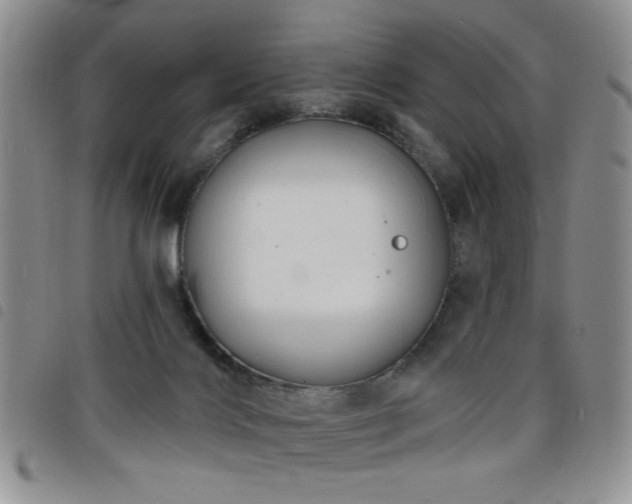 X0000098210028200804241331