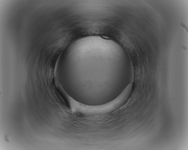 X0000098210029200804241331