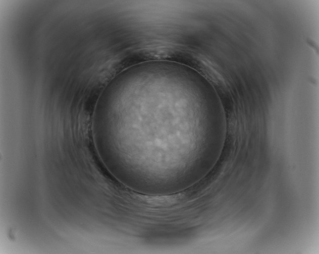 X0000098210030200804241331
